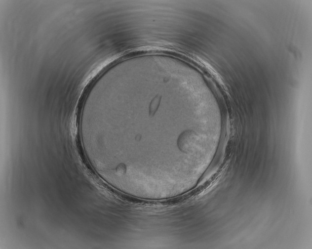 X0000113050885200909241453