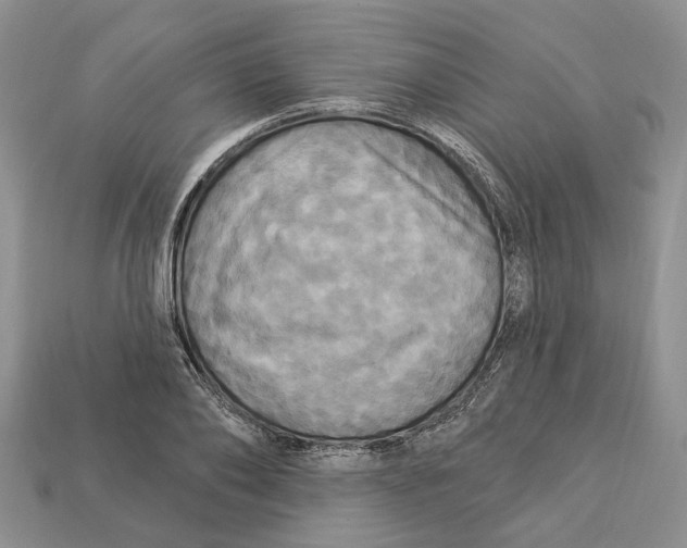 X0000113050886200909241453