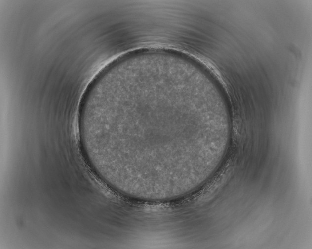 X0000113050887200909241453