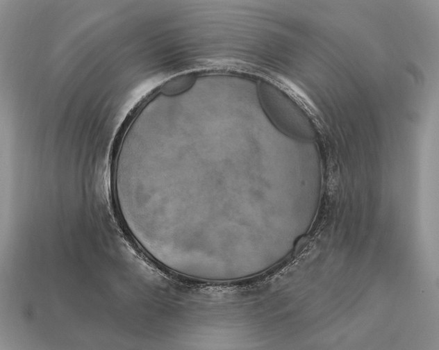 X0000113050888200909241453