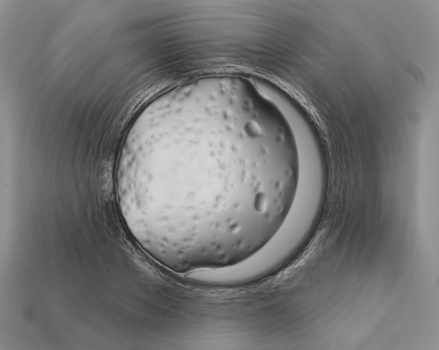 X0000113050889200909241453