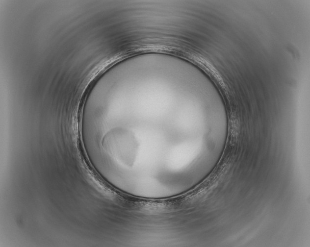X0000113050890200909241453