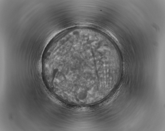 X0000113050891200909241453