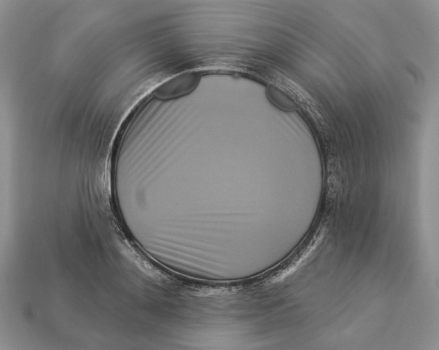 X0000113050892200909241453