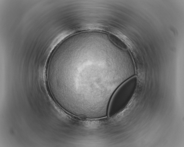 X0000113050893200909241453