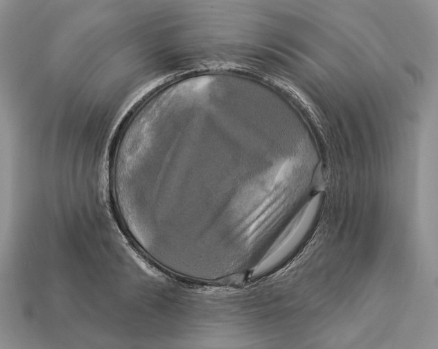 X0000113050894200909241453