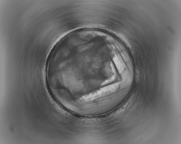 X0000113050895200909241453