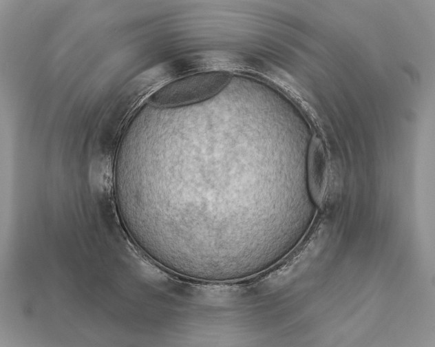 X0000113050897200909241452