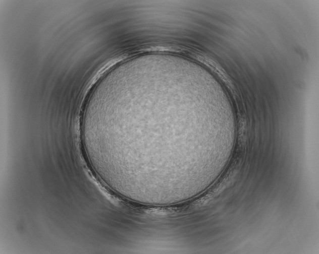 X0000113050898200909241452