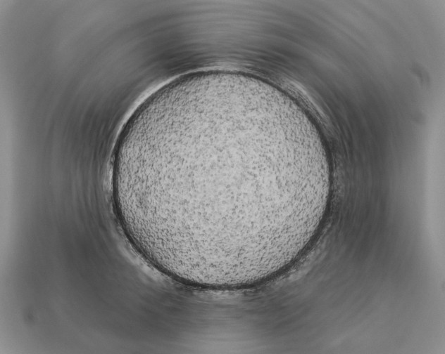 X0000113050900200909241452