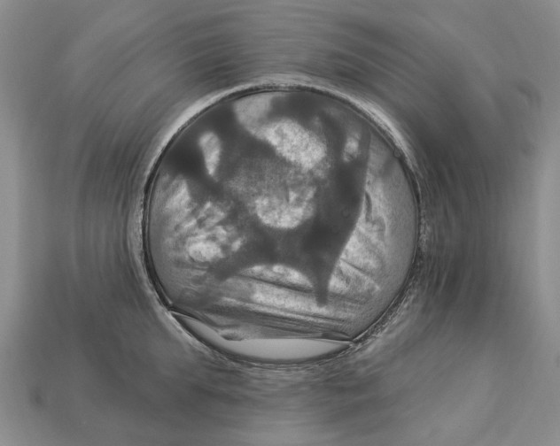 X0000113050903200909241452