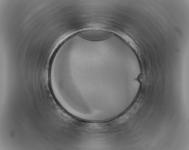 X0000113050904200909241452