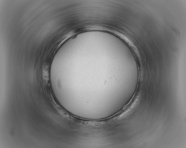 X0000113050905200909241452
