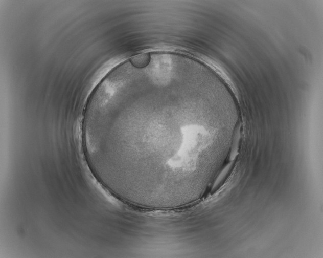 X0000113050906200909241452