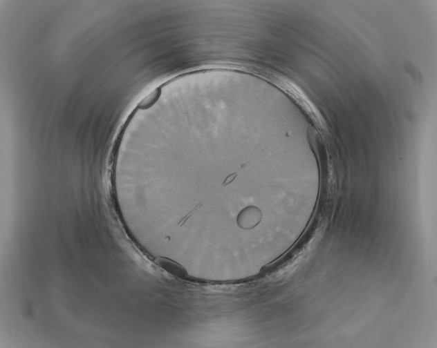 X0000113050908200909241452