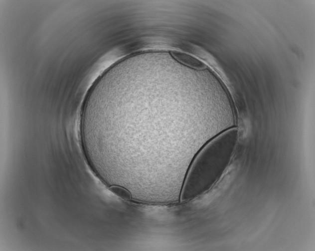X0000113050909200909241452