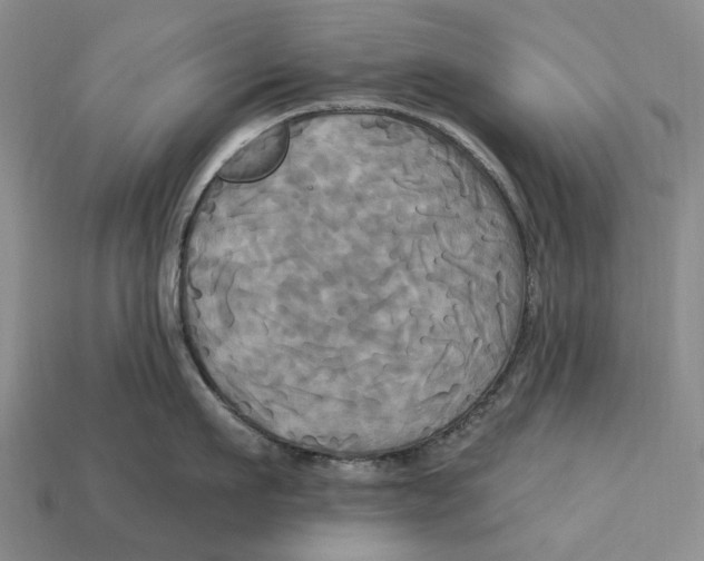 X0000113050911200909241452