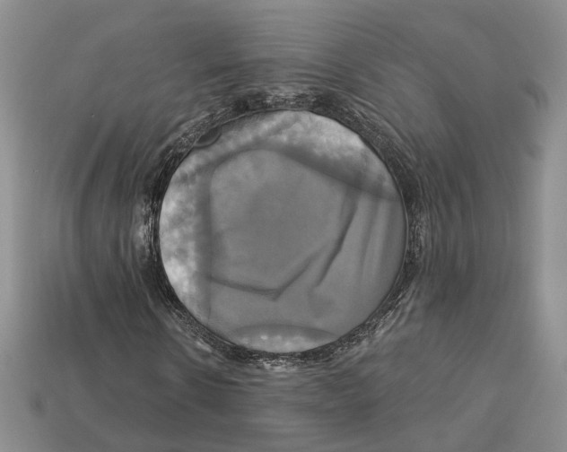 X0000113050914200909241452