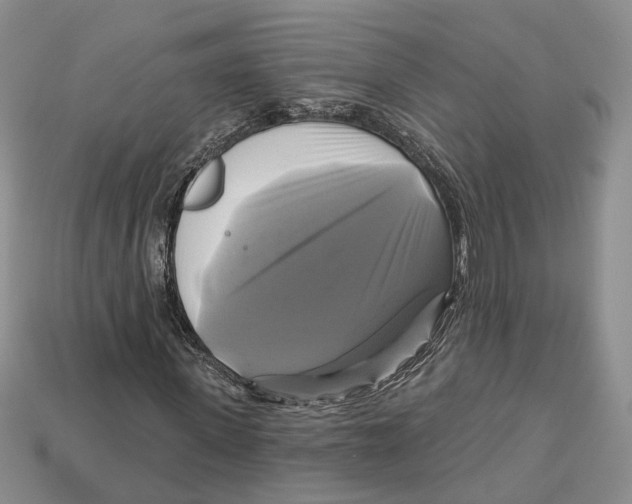 X0000113050915200909241452