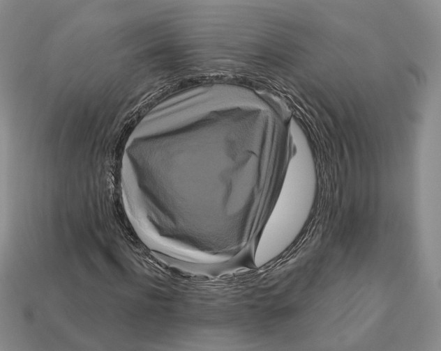 X0000113050916200909241452