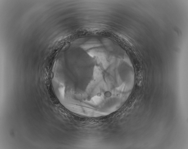 X0000113050917200909241452
