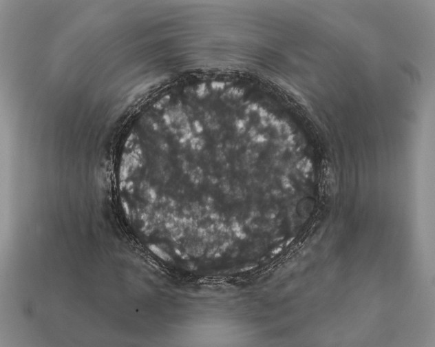 X0000113050918200909241452