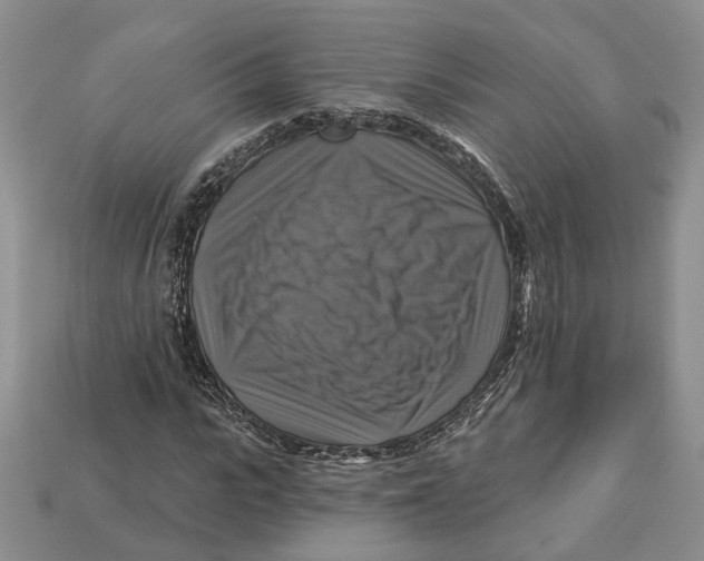 X0000113050919200909241452