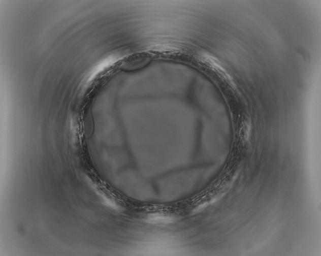 X0000113050920200909241452