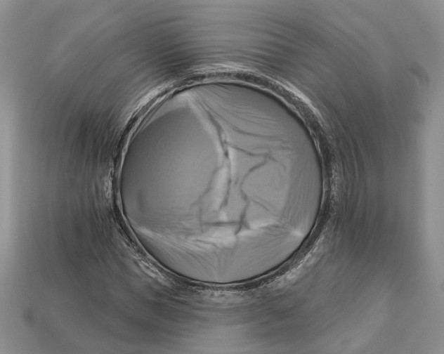 X0000113050921200909241452