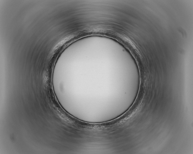 X0000113050922200909241452
