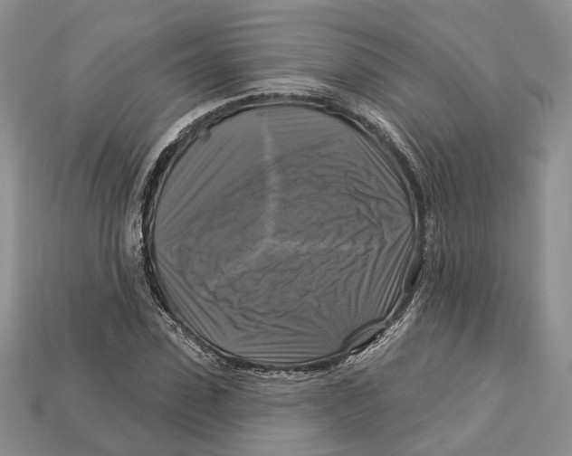 X0000113050923200909241452