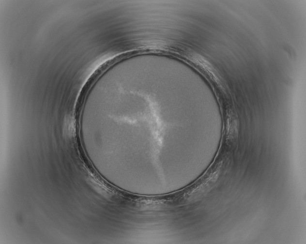 X0000113050924200909241452