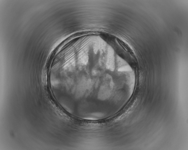 X0000113050925200909241452