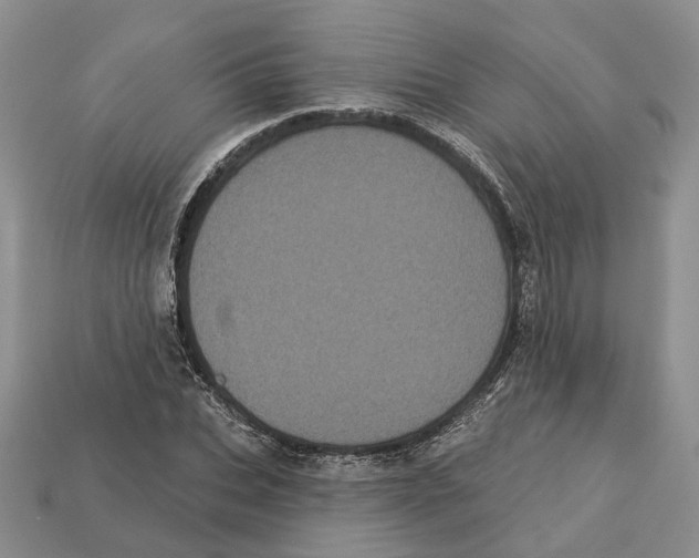 X0000113050927200909241452