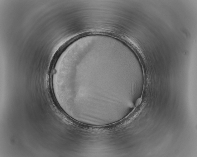 X0000113050928200909241452
