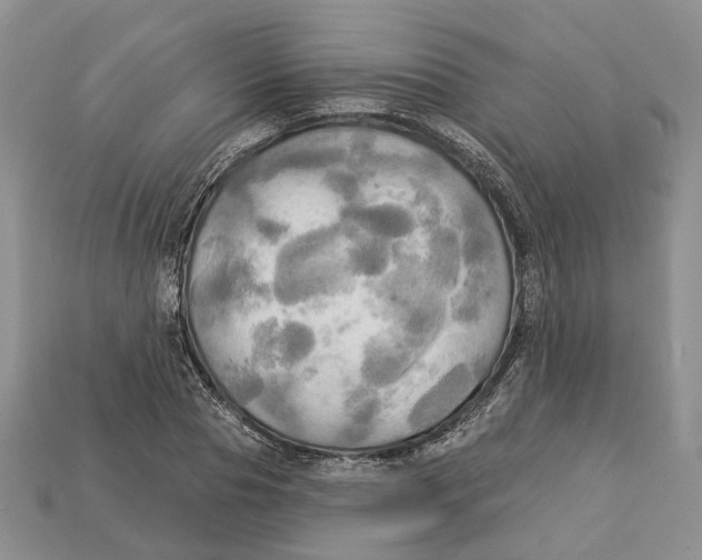 X0000113050929200909241452