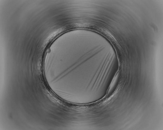 X0000113050930200909241452
