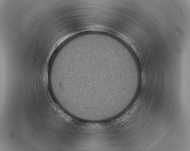 X0000113050931200909241452