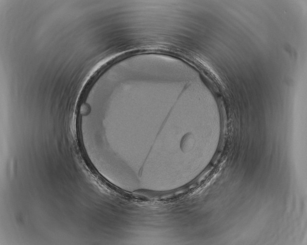 X0000113050932200909241452