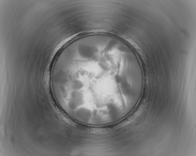 X0000113050933200909241452