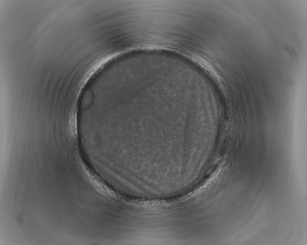 X0000113050934200909241452