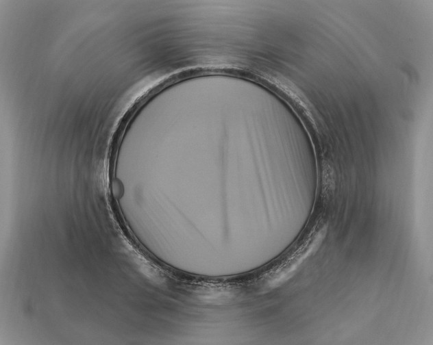 X0000113050935200909241452