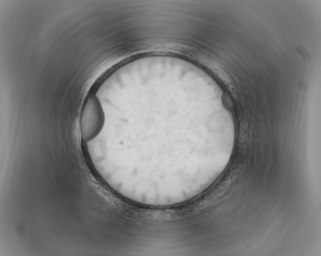 X0000113050936200909241452