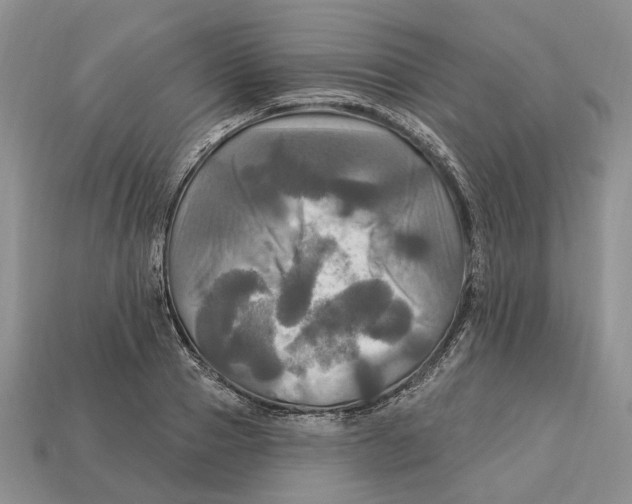 X0000113050937200909241452