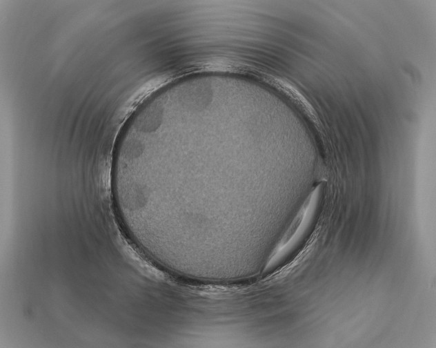 X0000113050938200909241452