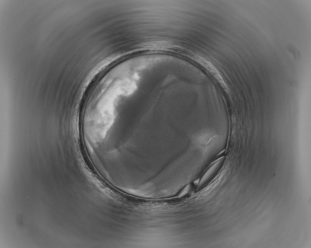 X0000113050939200909241452
