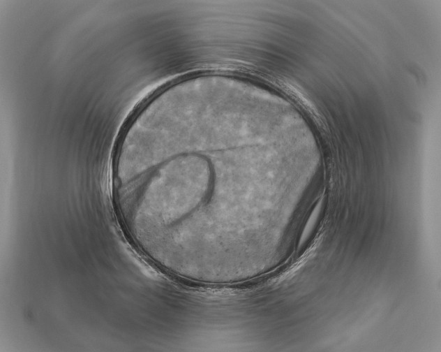 X0000113050940200909241452