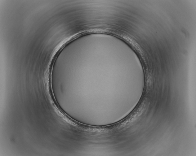 X0000113050941200909241452