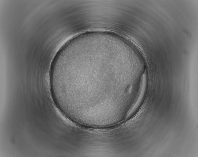 X0000113050942200909241452