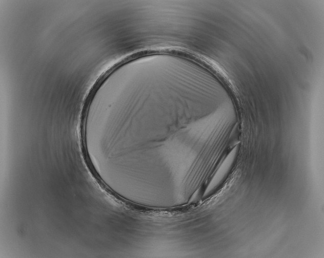 X0000113050943200909241452